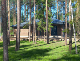Левашово