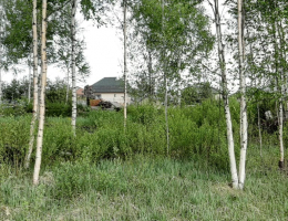 Вартемяги