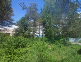 Грузино-6