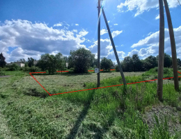 Ромашки