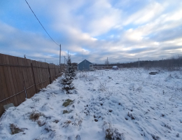 Красносельское