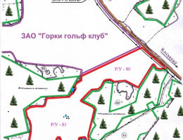 Ломоносовский р-н, у дер. Горки