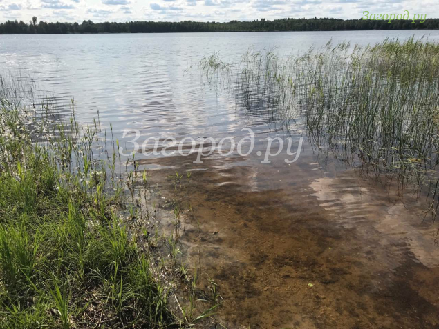 Продажа земельного участка Святье