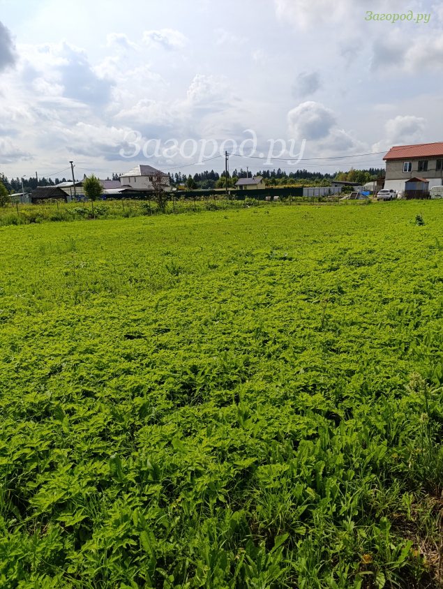 Продажа земельного участка д.Ижора