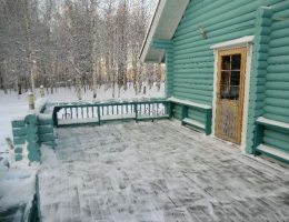 Светлое