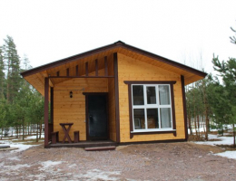 Светлое