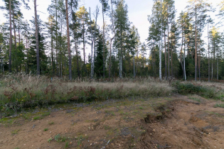 КП «KettuJarvi»: ход строительства