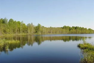 КП «Старостинское озеро»: ход строительства