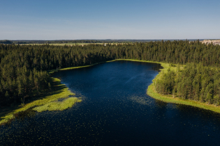 КП «Линтулово»