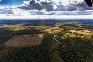 Фотографии поселка «Березовка (Сигмакс)»