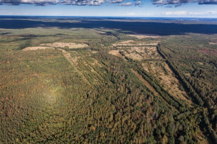 Фотографии поселка «Березовка (Сигмакс)»
