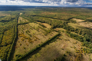 Фотографии поселка «Березовка (Сигмакс)»
