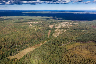 Фотографии поселка «Березовка (Сигмакс)»