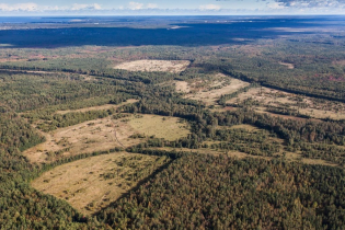 Фотографии поселка «Березовка (Сигмакс)»