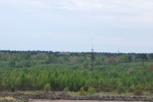 Фотографии поселка «Золотая Сотка»