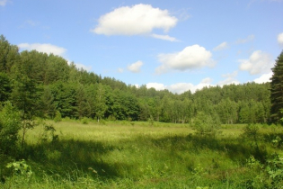Фотографии поселка «Березовка (Сигмакс)»