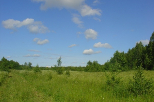 Фотографии поселка «Березовка (Сигмакс)»