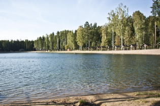 Фотографии поселка «Березовка (Сигмакс)»