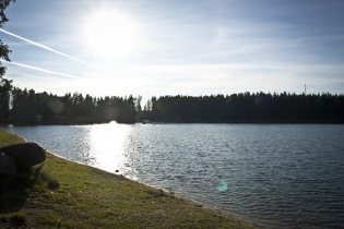 Фотографии поселка «Березовка (Сигмакс)»