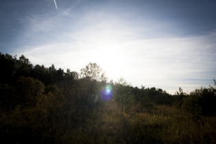 Фотографии поселка «Березовка (Сигмакс)»