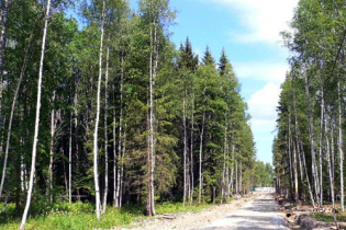 Фотографии поселка «Forest Lake Club»