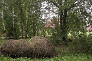 Фотографии поселка «Фисташки»