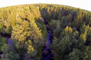 Фотографии поселка «Березовка (Сигмакс)»