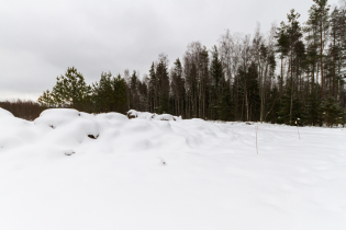 Фотографии поселка «Березовка (Сигмакс)»