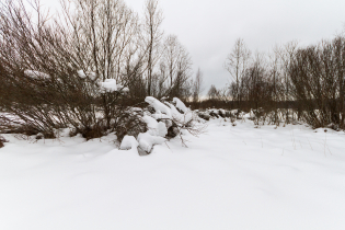 Фотографии поселка «Березовка (Сигмакс)»