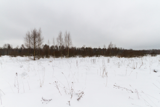 Фотографии поселка «Березовка (Сигмакс)»