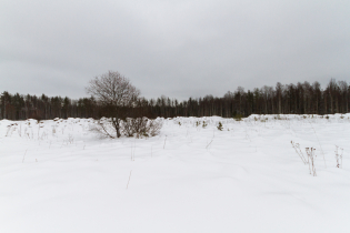 Фотографии поселка «Березовка (Сигмакс)»
