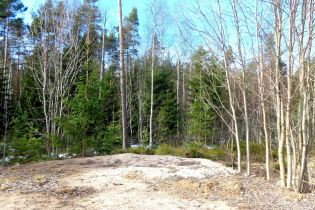 Фотографии поселка «Константиновка»