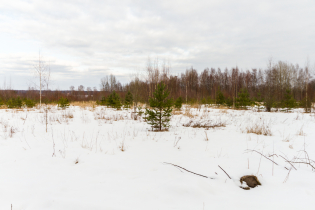 Фотографии поселка «Honkaniemi (ДНП «Долина озер»)»