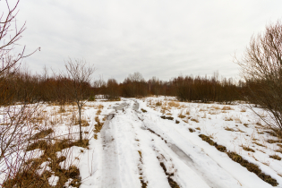 Фотографии поселка «Honkaniemi (ДНП «Долина озер»)»
