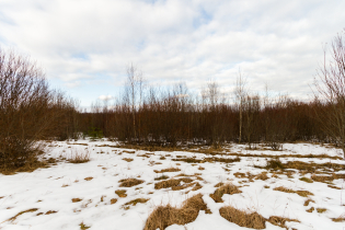 Фотографии поселка «Honkaniemi (ДНП «Долина озер»)»