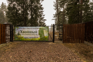Фотографии поселка «Хвойный»