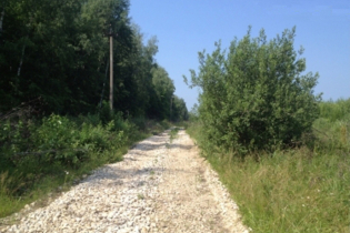 Фотографии поселка «Окский лес»