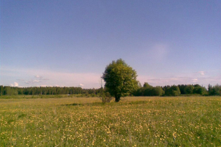 Фотографии поселка «Лебяжье озеро»