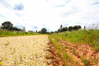 Фотографии поселка «Зяблики»