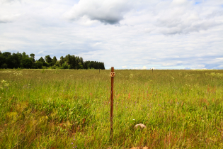 Фотографии поселка «Зяблики»