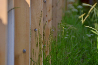 Фотографии поселка «Ольшаники 2»