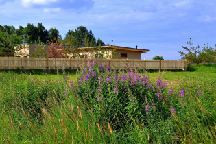 Фотографии поселка «Ольшаники 2»