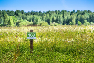 Фотографии поселка «Березовка (Сигмакс)»