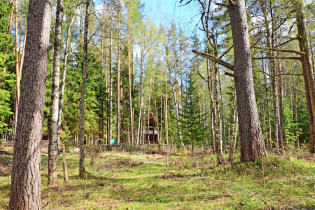 КП «Майнила»