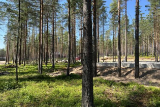 КП «Алые паруса»: территория