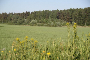 КП «Лесной уют» (26.05.14)