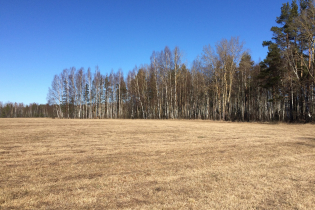 КП «Suvantojärvi» (11.04.15)