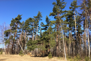 КП «Suvantojärvi» (11.04.15)