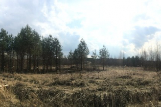 Фотографии поселка «Крутой ручей»