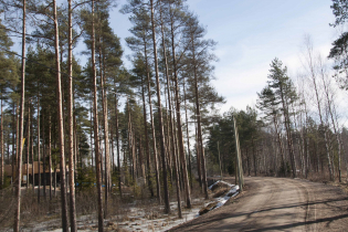 КП «Изумрудные горки» (19.03.15)